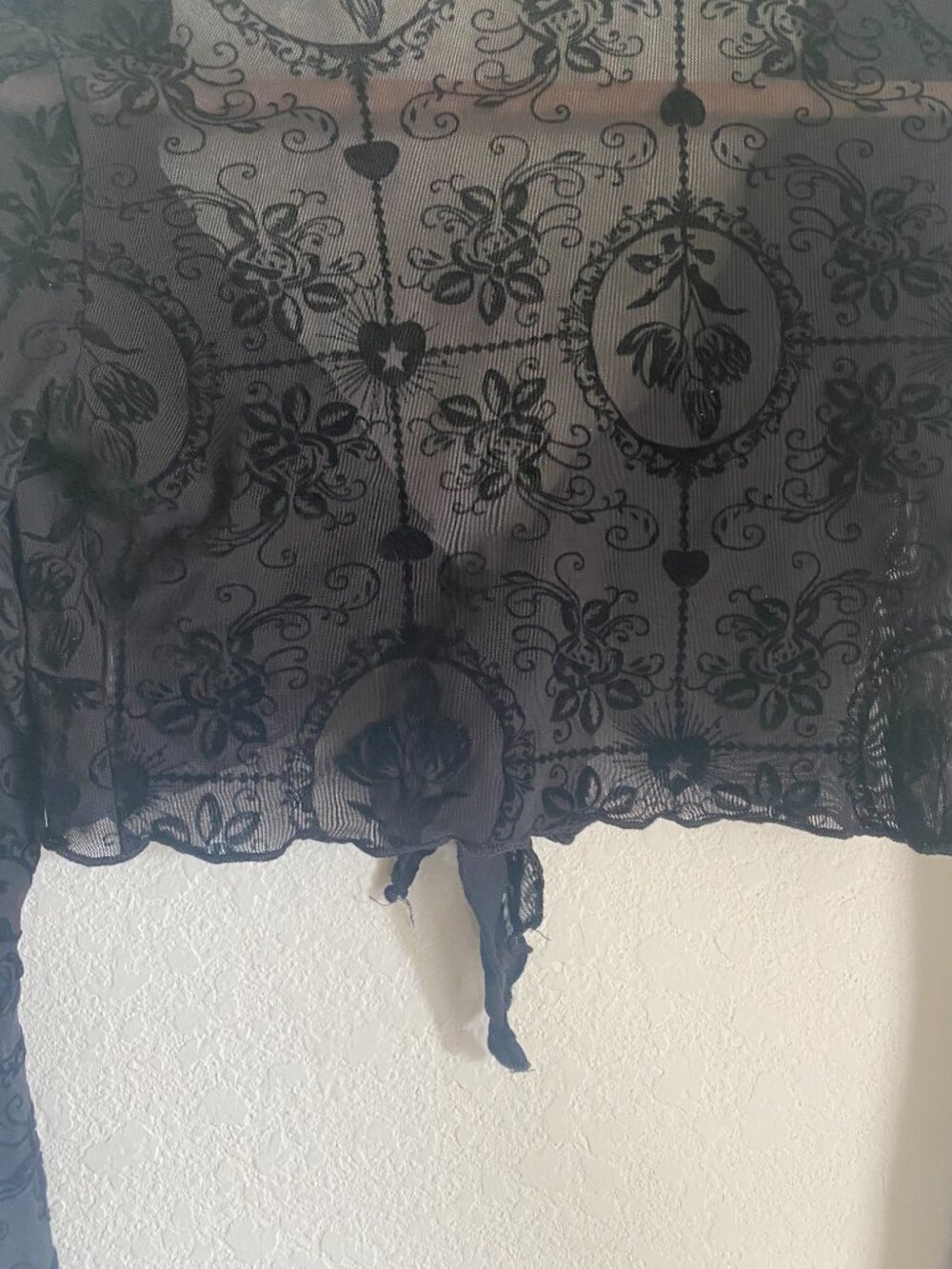 Vintage Black Sheer Lace Tie-Front Crop Top Dramatic Bell Sleeve Whimsigoth - Picture 8 of 8